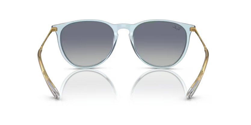 GAFAS RAYBAN ERIKA 4171 67434L