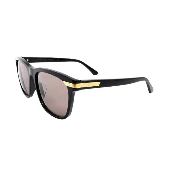 Cartier CT0190SA 002 55 - MWHITE.COM.CO