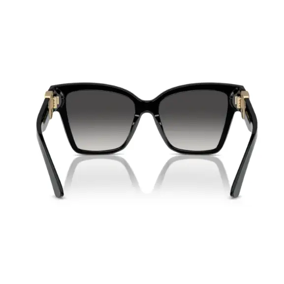 GAFAS DOLCE & GABBANA 4470 501/8G