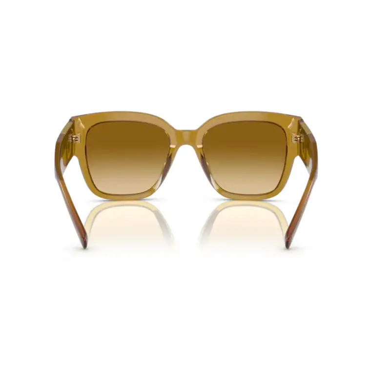 VERSACE 4437U 53472l - Gafas de Sol