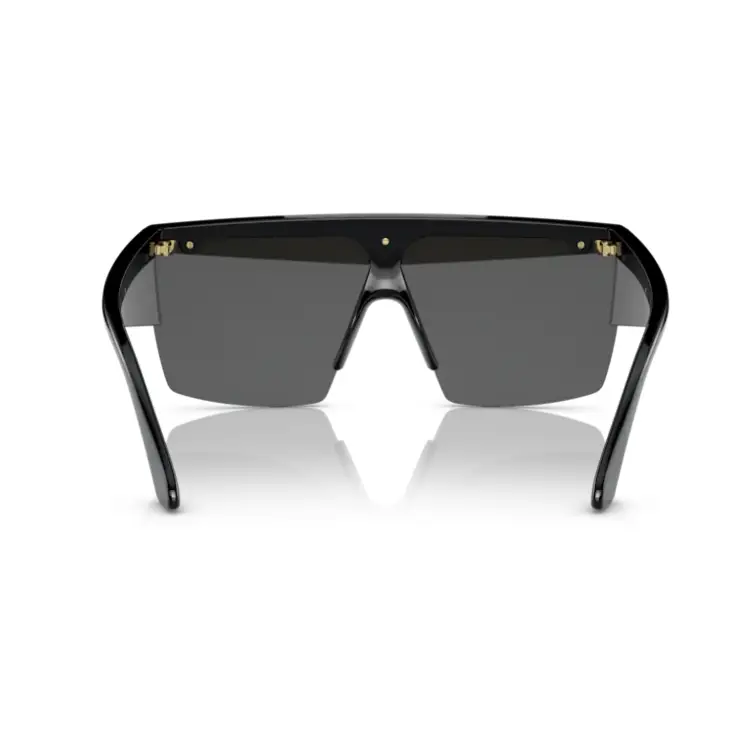 VERSACE 2254 100287 - Negro - Gafas de Sol