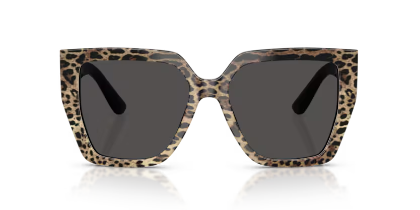 GAFAS 0DG4439 316387 - Leopardo marrón sobre negro