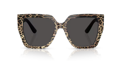 GAFAS 0DG4439 316387 - Leopardo marrón sobre negro