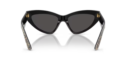 GAFAS 0DG4439 316387 - Leopardo marrón sobre negro