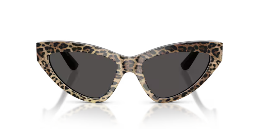 GAFAS 0DG4439 316387 - Leopardo marrón sobre negro