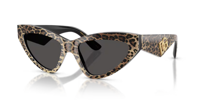 GAFAS 0DG4439 316387 - Leopardo marrón sobre negro