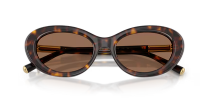 GAFAS 0DG4519 502/73