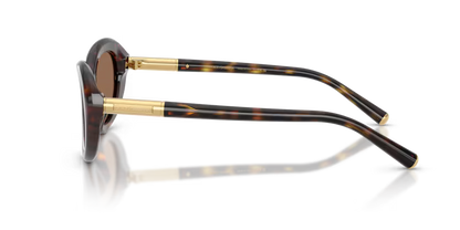 GAFAS 0DG4519 502/73