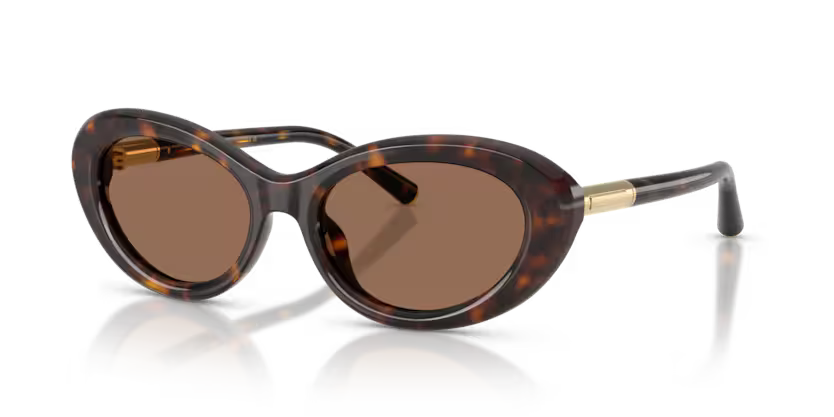 GAFAS 0DG4519 502/73