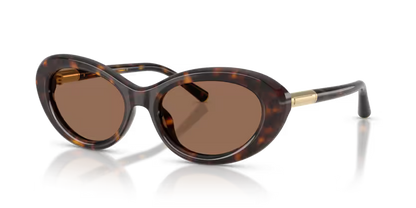 GAFAS 0DG4519 502/73