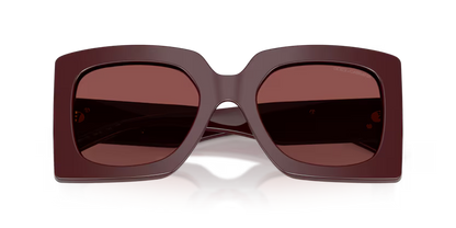 GAFAS.  0DG4525B 309175