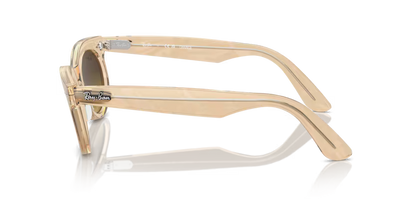 Gafas  Ray Ban 2242 138685