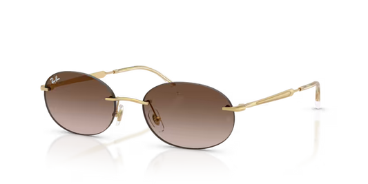 GAFAS RAYBAN 3767 001/13