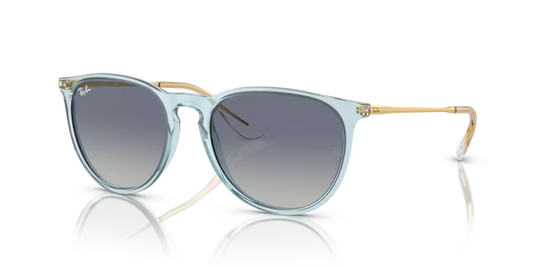 GAFAS RAYBAN ERIKA 4171 67434L