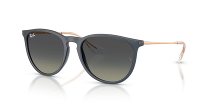GAFAS RAYBAN ERIKA 4171 681311