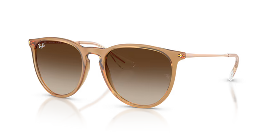 GAFAS RAYBAN ERIKA 4171 681413