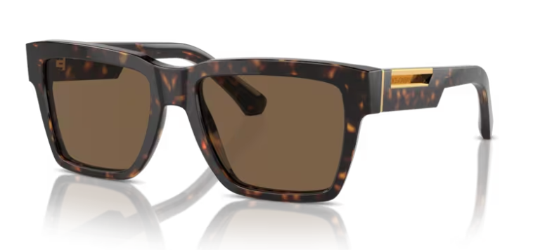 GAFAS DG4465 502/73