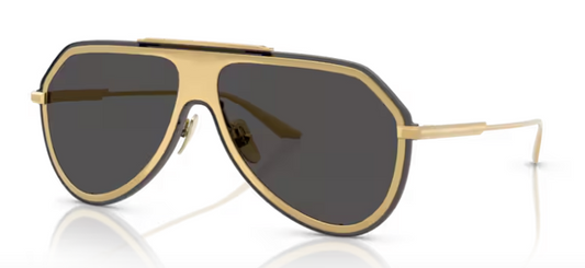 GAFAS DG 2309 02/87