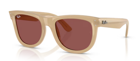 GAFAS RAY BAN Wayfarer reverse 0502S 678069