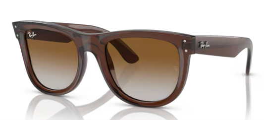 GAFAS RAY BAN Wayfarer reverse 0502S 6709CB
