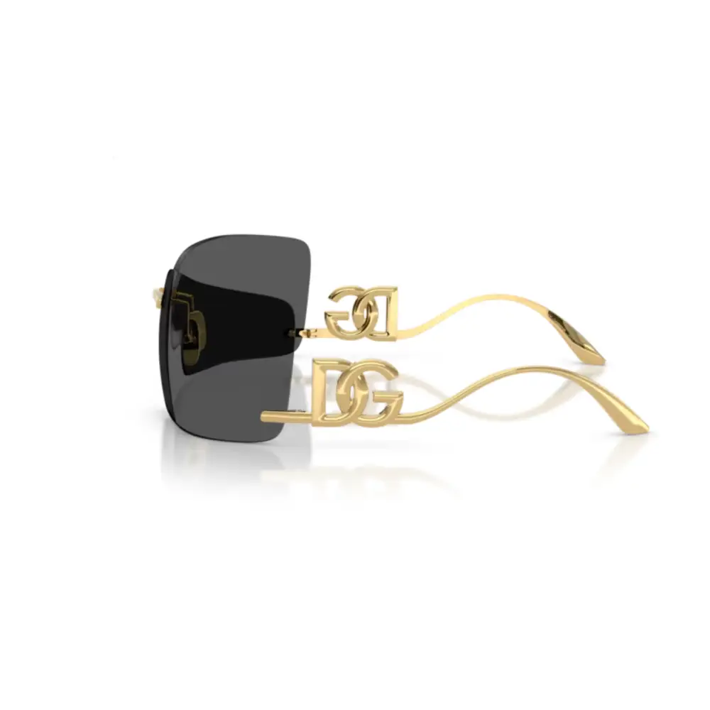 Gafas Dolce & Gabbana 2319 02/87 - Gafas de Sol