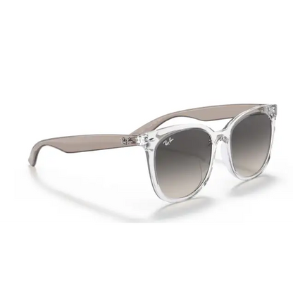 GAFAS RAYBAN 4379D 659811 - 55 L - Gafas de Sol