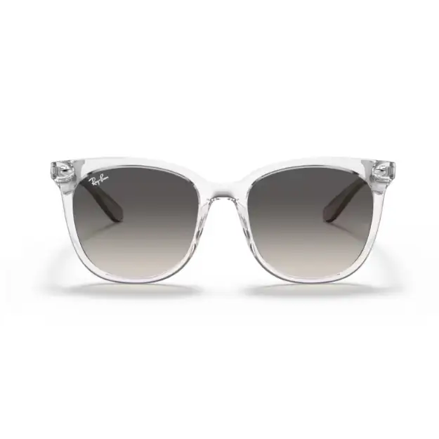 GAFAS RAYBAN 4379D 659811 - 55 L - Gafas de Sol