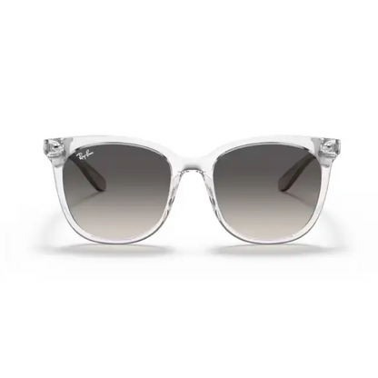 GAFAS RAYBAN 4379D 659811 - 55 L - Gafas de Sol