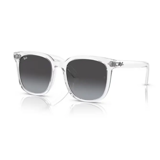 GAFAS RAYBAN 4401D 64478G - 55 XL - Gafas de Sol
