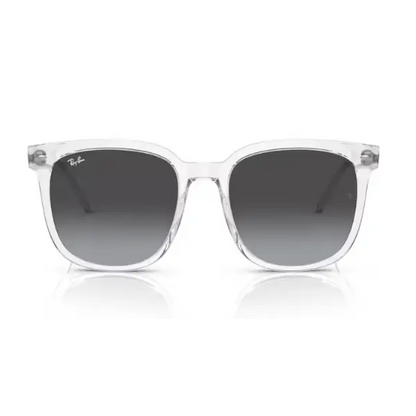 GAFAS RAYBAN 4401D 64478G - 55 XL - Gafas de Sol