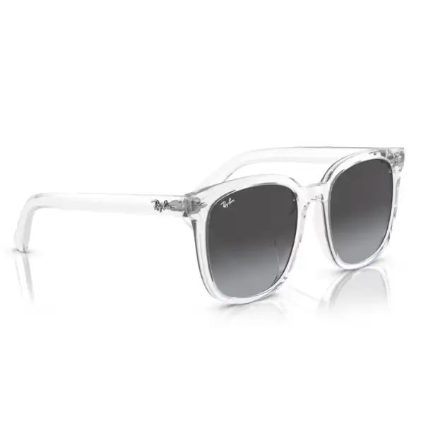 GAFAS RAYBAN 4401D 64478G - 55 XL - Gafas de Sol