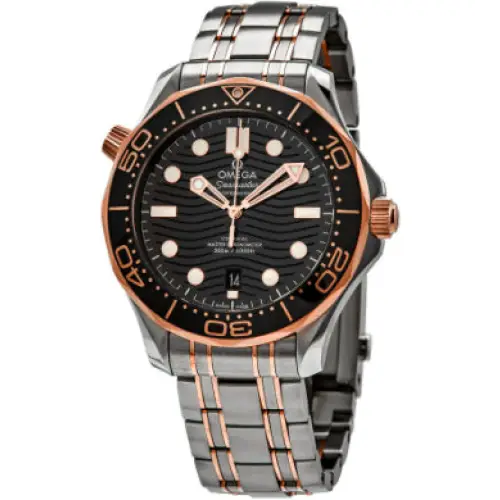 Omega 210.20.42.20.01.001 - Relojes