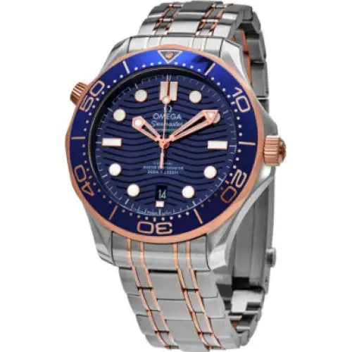 Omega 210.20.42.20.03.002 - Relojes