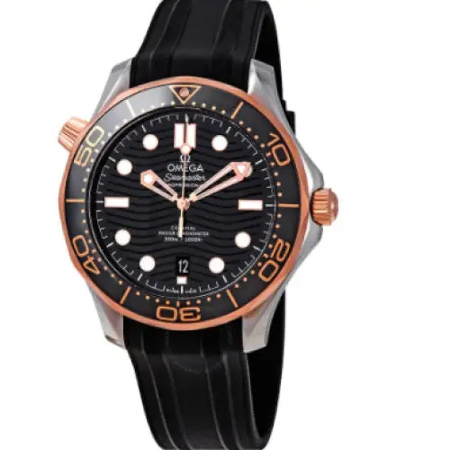 Omega 210.22.42.20.01.002 - Relojes