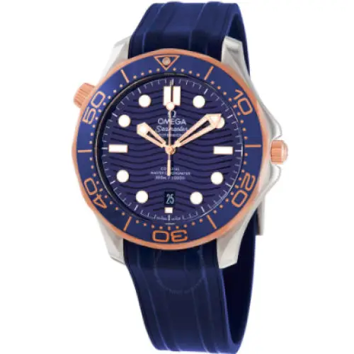 Omega 210.22.42.20.03.002 - Relojes